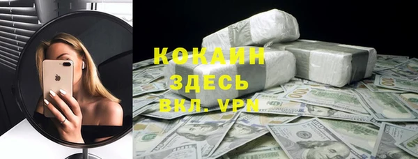 ПСИЛОЦИБИНОВЫЕ ГРИБЫ Арсеньев