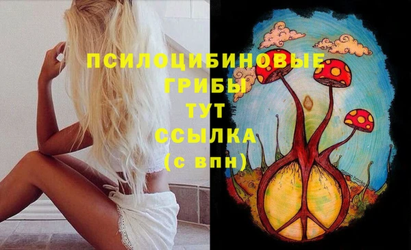 не бодяженный Алзамай