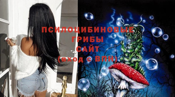 шишки Армянск