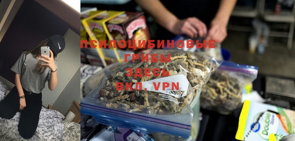 гашик Алексеевка