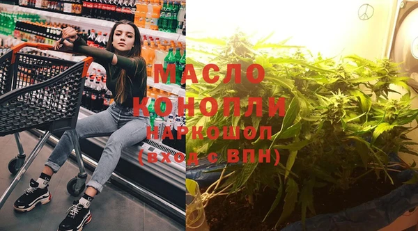 гашик Алексеевка